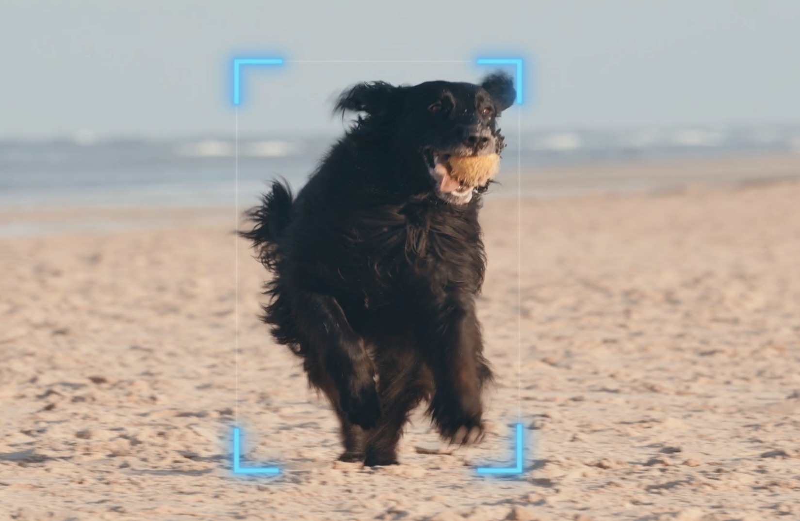 Obsbot Tail Air PTZ 4k Review: The AI Camera for Live Streaming ...
